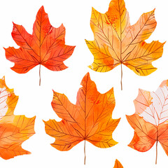Fototapeta premium A series of watercolor leaves with a white background