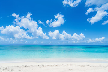 Obraz premium Sunlit Beach with Blue Sky and Ocean View