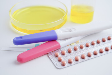 Urinalysis, pregnancy test and urine cup for female of ovulation day, fetus, maternity, childbirth,...