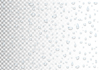 Water drops from condensation or rain or steam shower on a transparent background.
