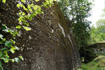 Ruins of a bunker in Wolf's Liar - Gierloz, Poland