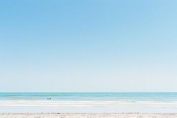 Sunny Beach with Blue Sky and Ocean View