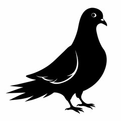 dove of peace