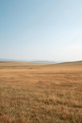 Fototapeta premium Flat plains with minimal vegetation and a focus on texture and color gradients 