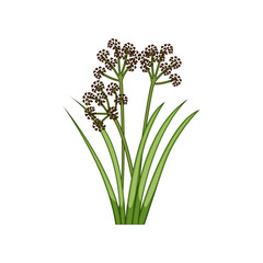 pond lake plant cartoon. river landscape, reed grass, forest garden pond lake plant sign. isolated symbol vector illustration