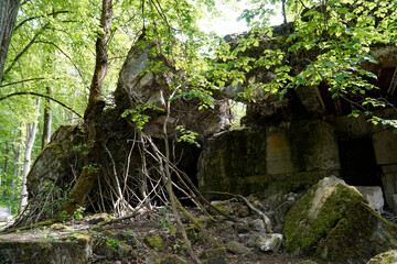 Fototapeta premium Wilhelm Keitel's bunker at Wolf's Liar - Gierloz, Poland