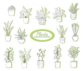 House plants in pots on a white background. Simple doodle home plants.
