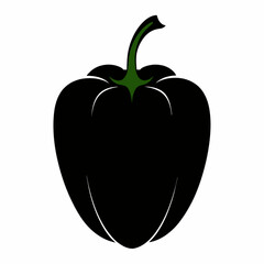 illustration of a tomato