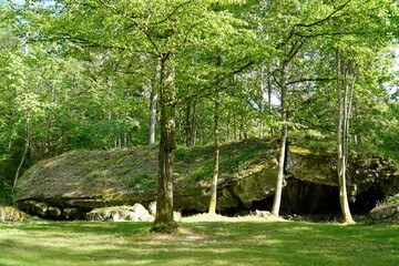 Otto Dietrich's press bunker at Wolf's Liar - Gierloz, Poland