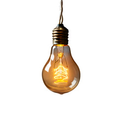 hanging light bulb isolated on a transparent background