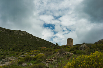 landscape, view, nature, spring, green, spain, flora, plants, be