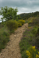 landscape, view, nature, spring, green, spain, flora, plants, be