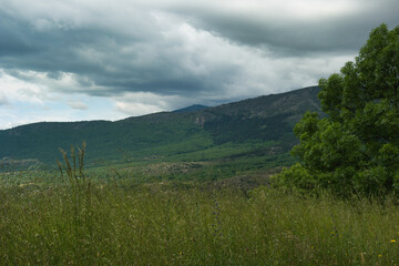 Obraz premium landscape, view, nature, spring, green, spain, flora, plants, be