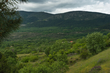 Obraz premium landscape, view, nature, spring, green, spain, flora, plants, be