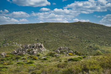 landscape, view, nature, spring, green, spain, flora, plants, be