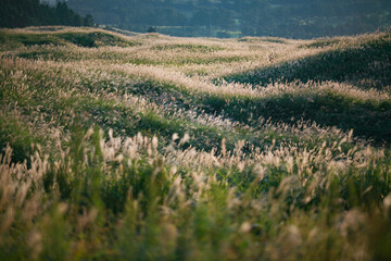 熊本の阿蘇で出会った秋のトワイライトの風景