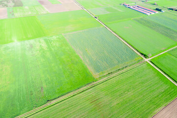 drone view of prepared and cultivated agricultural fields in springs