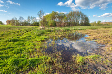 A puddle of water after rain in an agricultural field, April day, Zarzecze in eastern Poland