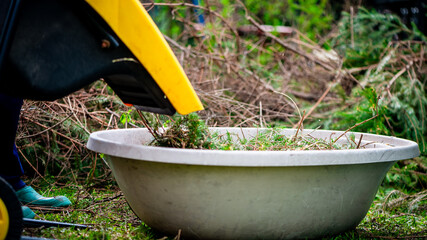 The process of chopping branches into mulch with wood chipper in garden, ecology, wood recycle