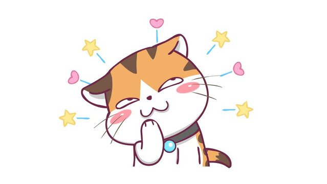 Sneaky Laughing Animated Cat with White Background