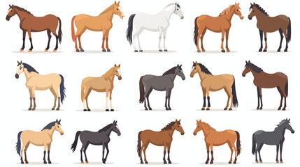 Horses breeds. Horse farm breeding for horseback riding