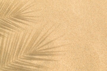 Realistic shadow of palm leaf on beach sand. Tropical palm leaves on sea sand texture background....