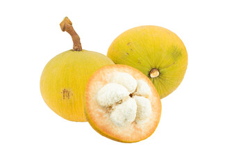 Santol isolated on transparent with png.