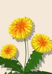 Dandelion flower background.Eps 10 vector.