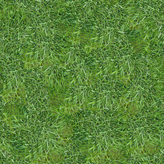 seamless organic grass texture