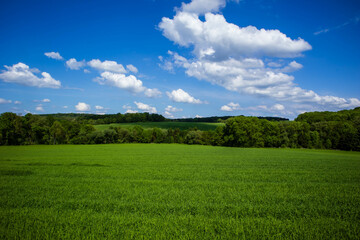 Obraz premium Wonderful landscape with contrasting blue-green colors
