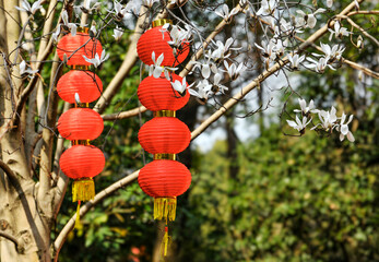 chinese lantern in the temple