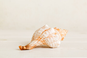 Summer time concept with sea shells or starfish on a table background with copy space for text