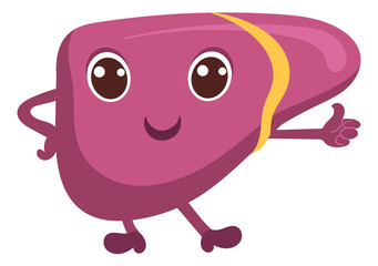Human liver character. Cartoon organ. Anatomy mascot