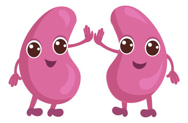 Happy kidneys character. Human organ medical mascot