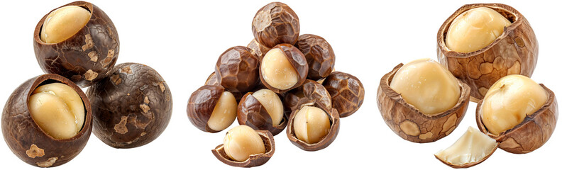 Fototapeta premium Macadamia nuts collection isolated on a white background