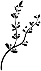 decoration illustration leaf silhouette blueberry logo berry icon fruit outline food herb summer organic healthy spice nature strawberry plant shape berries herbs raspberry for vector graphic