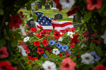 The US flag seen through a cluster of vibrant red, white, and blue flowers at a military cemetery on Memorial Day, with gravestones forming a solemn backdrop.