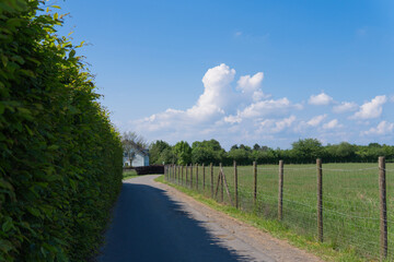Green grass field on small hills and blue sky with clouds