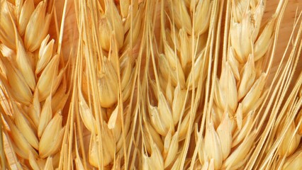 A macro shot reveals the intricate details of wheat ears, showcasing their graceful curves and...