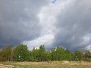 clouds over the forest