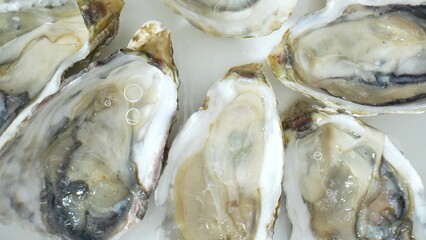 Oysters associated with aphrodisiac qualities due to sensual texture and high zinc content,...