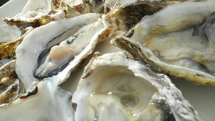 Oysters hold cultural significance, symbolizing luxury, prosperity, vitality. Linked with...