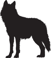 Obraz premium wolf silhouette on transparent background