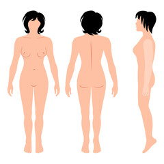 Full length view of a lean haircut standing naked girl silhouette, isolated on white background. Vector illustration
