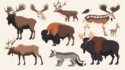 North american animals. Animal graphics of North Amer