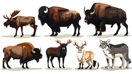 North american animals. Animal graphics of North Amer