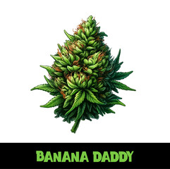 Vector Illustrated Banana Daddy Cannabis Bud Strain Cartoon
