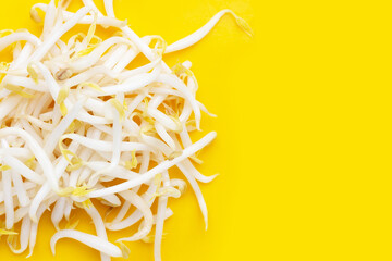 Bean sprouts on yellow background