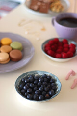 Plate of pastel macarons, cookies and chocolate, cup of tea of coffee, glass of bubble water, various berries, books and accessories on the table. Selective focus, pastel colors.