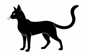  A cat animal silhouette black vector artwork illustration 